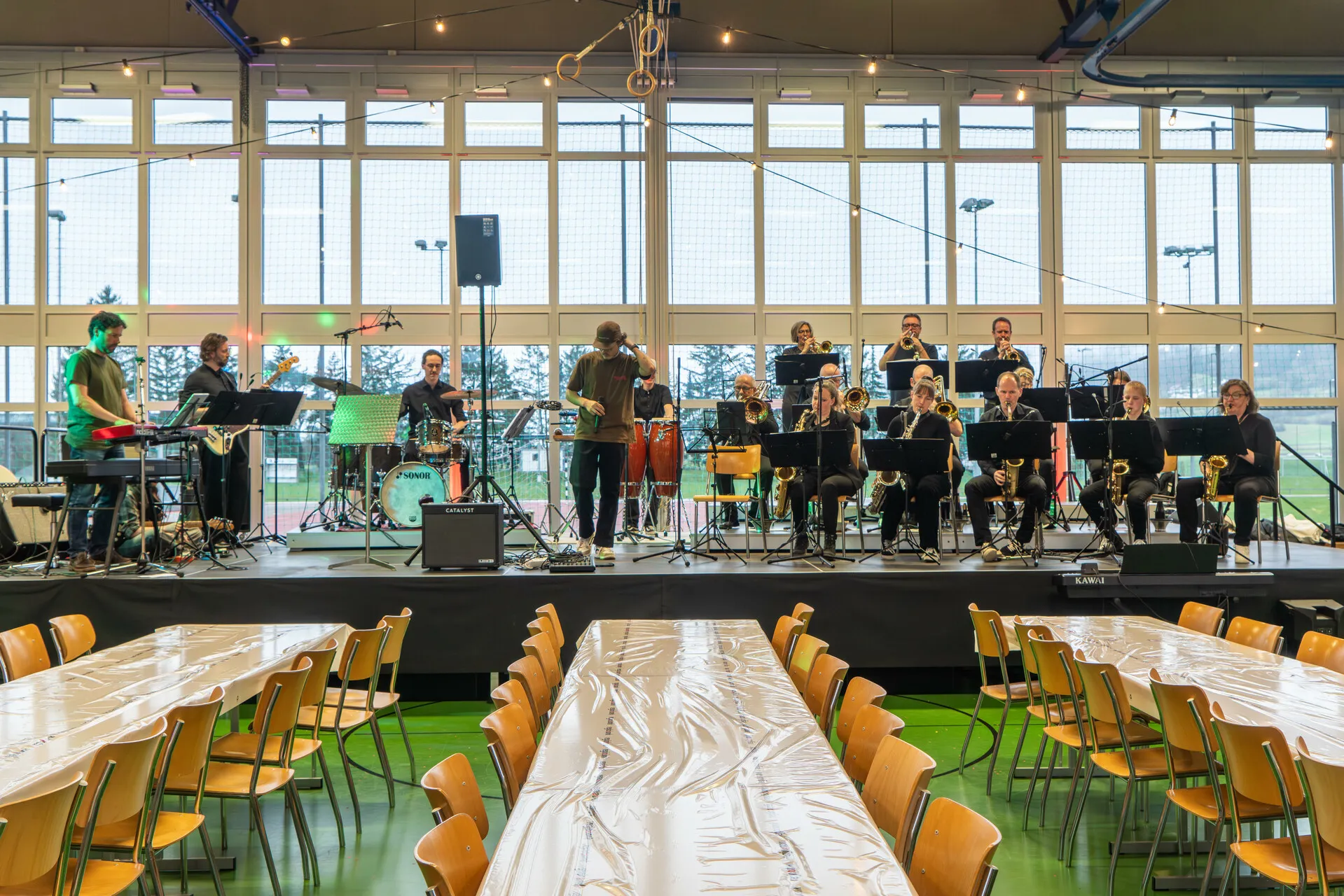 DSC03678.jpg_compressed