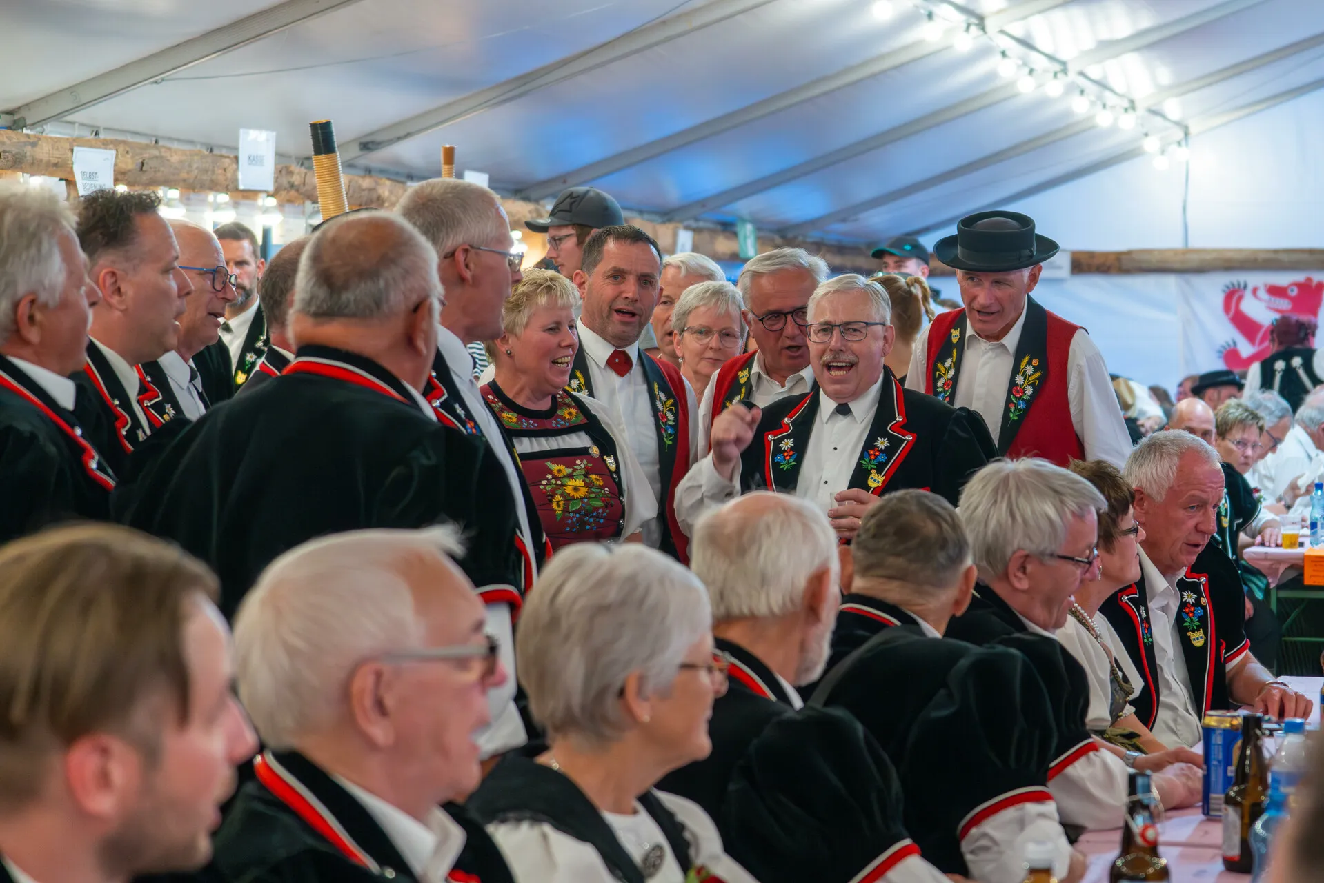 DSC02767-Verbessert-RR.jpg_compressed